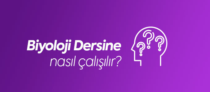 Biyoloji Nasıl Çalışılır?