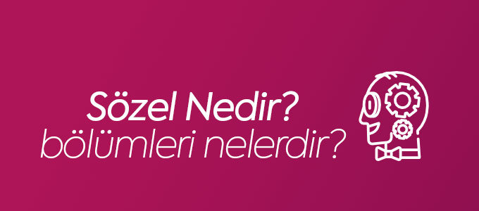 Sözel Bölümleri ve Meslekleri