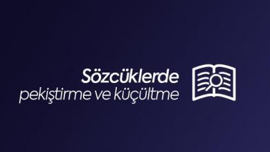 Sözcüklerde pekiştirme ve küçültme