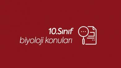 10.sınıf biyoloji konuları