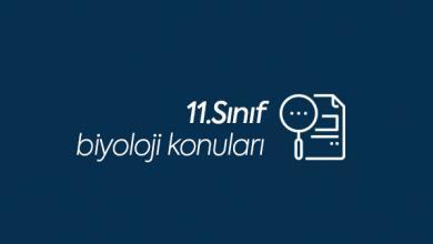 11.sınıf biyoloji konuları