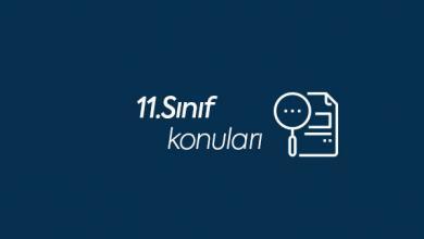 11.sınıf konuları