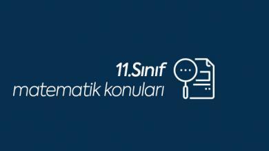 11.sınıf matematik konuları