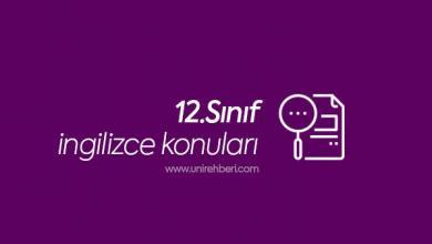 12. sınıf ingilizce konuları