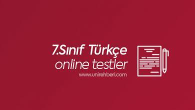 Online 7.Sınıf Türkçe Testleri