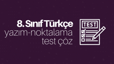 8. sınıf yazım ve noktalama test çöz