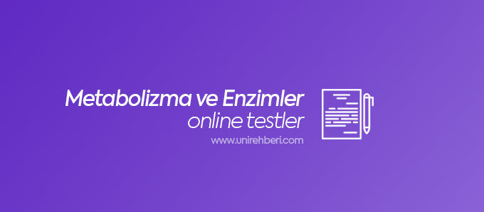 Metabolizma ve Enzimler test çöz