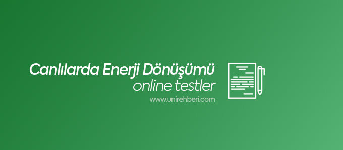 Canlılarda Enerji Dönüşümü Testleri