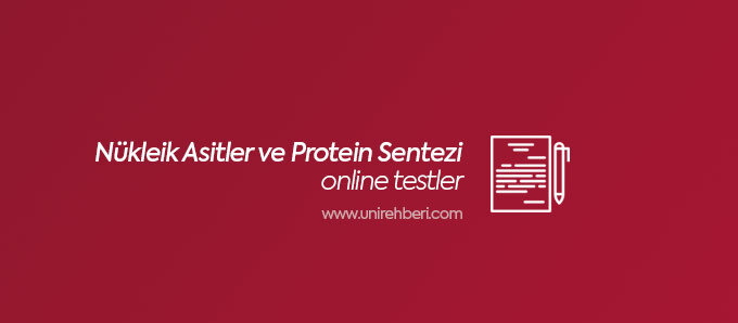 Nükleik Asitler ve Protein Sentezi Test
