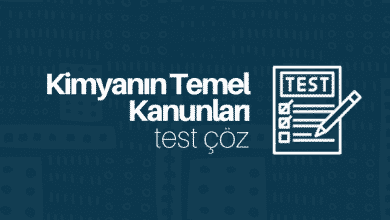 kimyanın temel kanunları test çöz