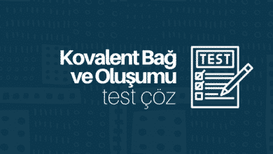 Kovalent bağ ve oluşumu test çöz