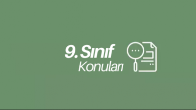 9. Sınıf Konuları