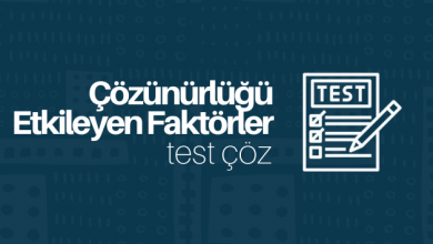 Çözünürlüğe Etki Eden Faktörler test çöz