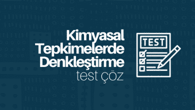 kimyasal tepkimelerde denkleştirme test çöz