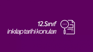 12. sınıf inkılap tarihi konuları