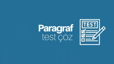 paragraf soruları test çöz