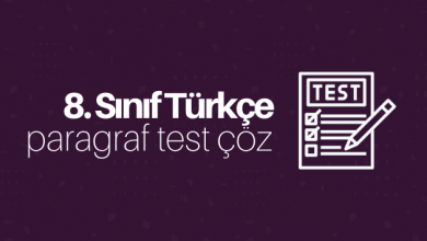 8. sınıf paragraf test çöz