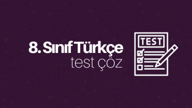 8. sınıf türkçe test çöz