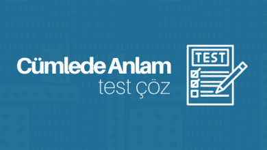 cümlede anlam test