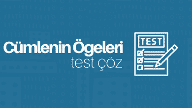 cümlenin ögeleri test