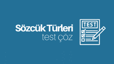 sözcük türleri test çöz