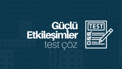 Güçlü Etkileşimler test çöz