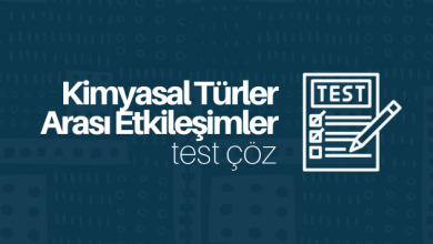 Kimyasal Türler Arası Etkileşimler test çöz