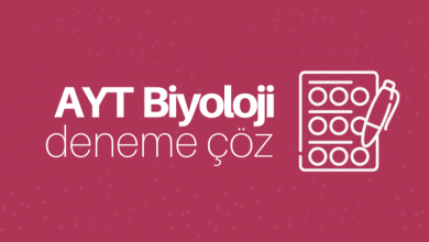 ayt biyoloji deneme çöz