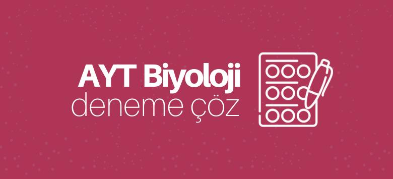 ayt biyoloji deneme çöz