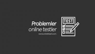 Problemler Test