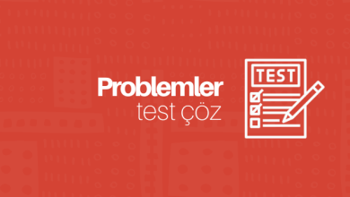 problemler test çöz