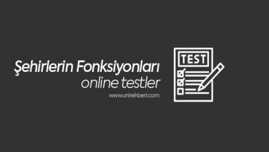 Şehirlerin Fonksiyonları Test