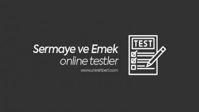 Sermaye ve Emek test