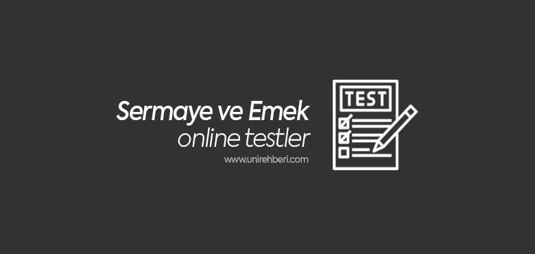 Sermaye ve Emek test