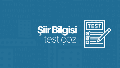 şiir bilgisi test çöz