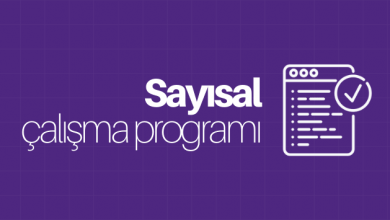 sayısal çalışma programı