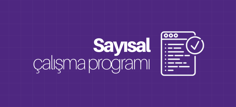 sayısal çalışma programı