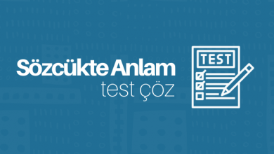 Sözcükte Anlam Test Çöz