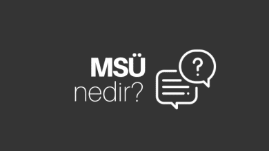 msü nedir