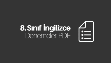 8. Sınıf İngilizce Deneme PDF