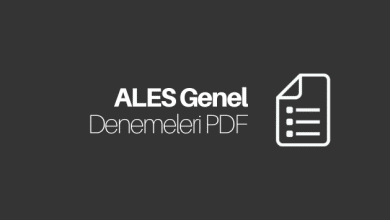 ales deneme pdf