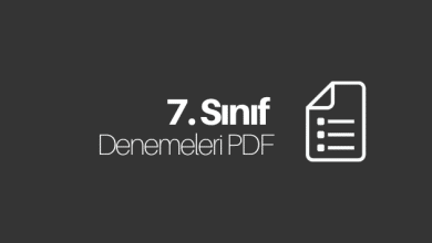 7. sınıf deneme pdf