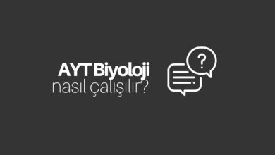 AYT Biyoloji Nasıl Çalışılır?