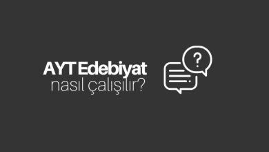 AYT Edebiyat Nasıl Çalışılır