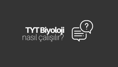 TYT Biyoloji Nasıl Çalışılır