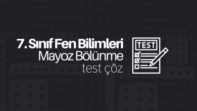7. Sınıf Fen Bilimleri Mayoz Bölünme Testi Çöz