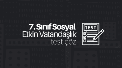 7. Sınıf Sosyal Bilgiler Etkin Vatandaşlık Testi Çöz