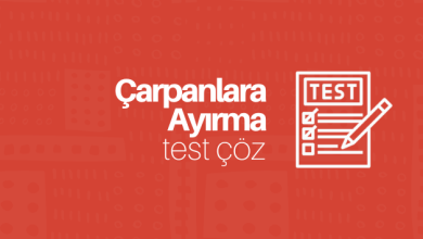 çarpanlara ayırma soruları