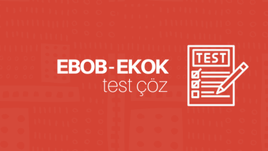 ebob - ekok test