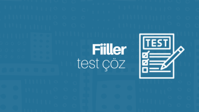 Fiiller test